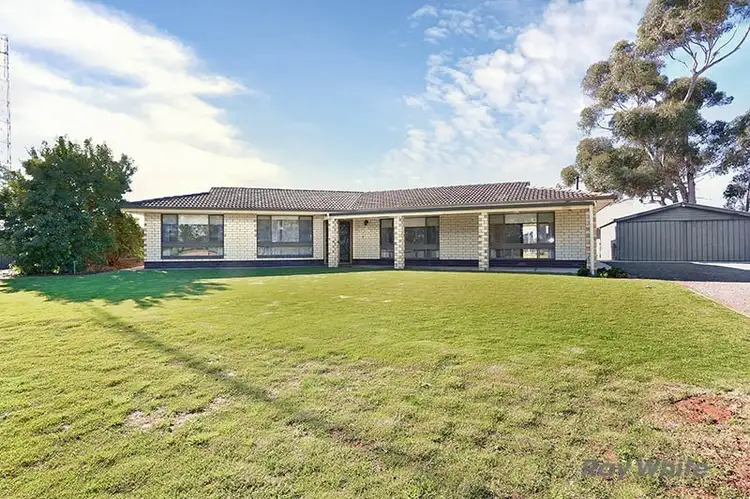 Main view of Homely house listing, 145 Wundke Road, Brinkworth SA 5464