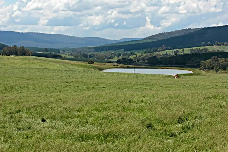 Main view of Homely rural property listing, 56 Keadys Road, Koetong VIC 3704