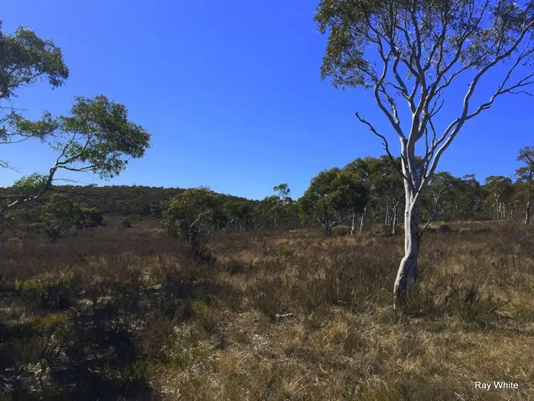 Sixth view of Homely rural property listing, 45 Tee Tree, Bombay NSW 2622