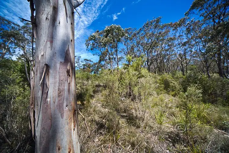 Seventh view of Homely land listing, 59 Delmonte Avenue, Medlow Bath NSW 2780