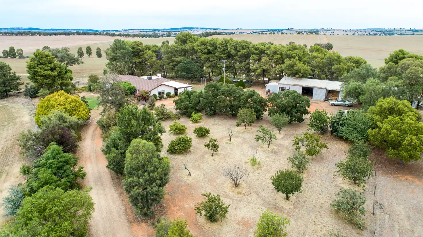 Main view of Homely rural property listing, 621 Coursing Park Road, Downside NSW 2650