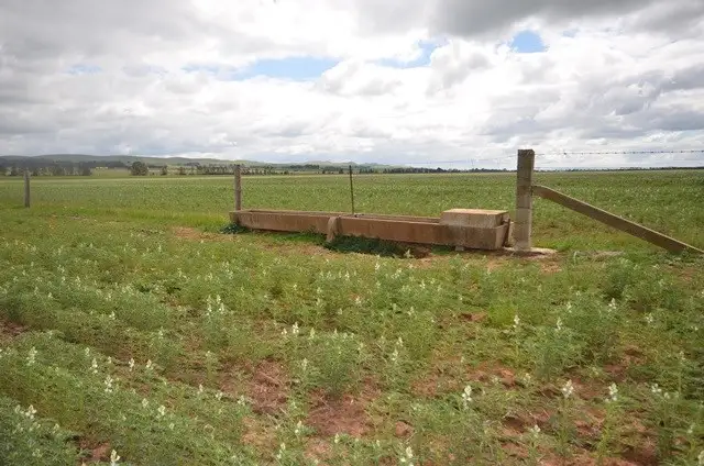 Sixth view of Homely rural property listing, "Baileys" Rd 137, Farrell Flat SA 5416