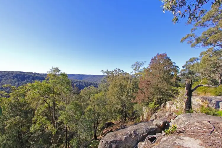 Fifth view of Homely rural property listing, 105 Priests Ridge Road, Yarramalong NSW 2259