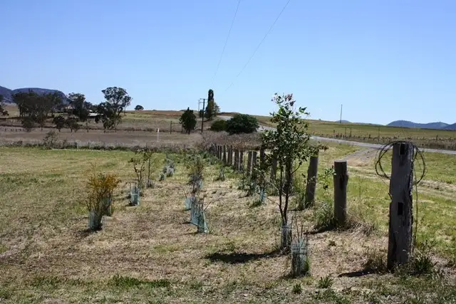 Third view of Homely rural property listing, 264 Cunningham Highway, Maryvale QLD 4370