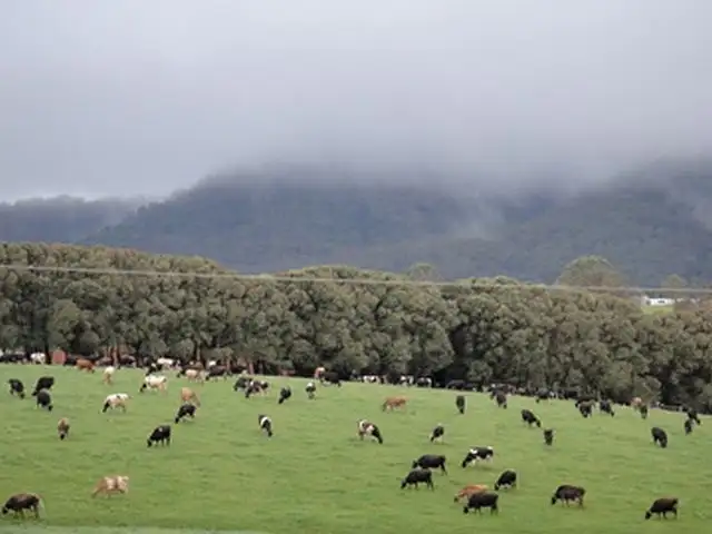 Third view of Homely rural property listing, 1461 Tyringham Road, Dorrigo NSW 2453