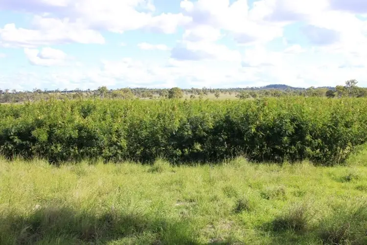 Second view of Homely rural property listing, Address available on request