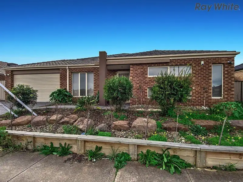 Main view of Homely house listing, 31 Pimelea Terrace, St Albans VIC 3021