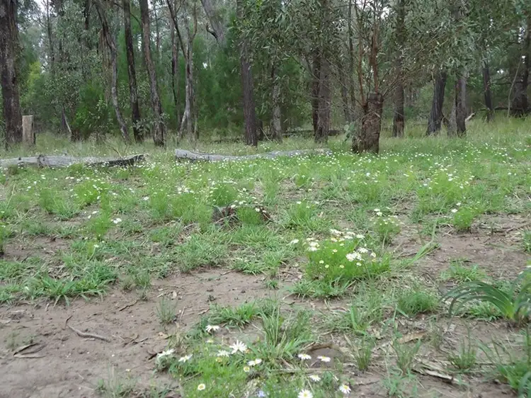 Main view of Homely rural property listing, Lot 11 Kesshans Road, Goranba QLD 4421