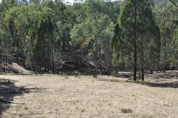 Fifth view of Homely rural property listing, 1 "Mount Eurow", Parkes NSW 2870