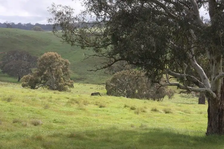 Fourth view of Homely rural property listing, Lot 203 Petwood Road, Nairne SA 5252