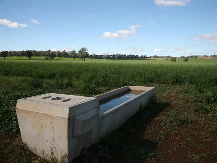 Fifth view of Homely rural property listing, "Searock" Blatches Lane, Yeoval NSW 2868
