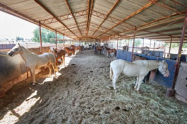 2031 Millwood Road, Coolamon NSW 2701