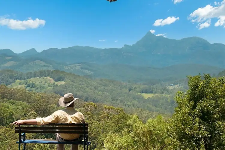 Third view of Homely rural property listing, 2327 Numinbah Road, Numinbah NSW 2484