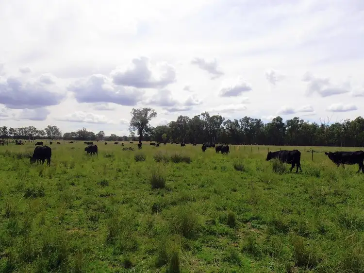 Third view of Homely rural property listing, " Pine Valley ", Terry Hie Hie NSW 2400