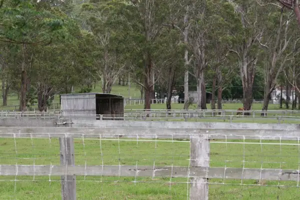 Fourth view of Homely rural property listing, 1040 Kerry Road, Kerry QLD 4285