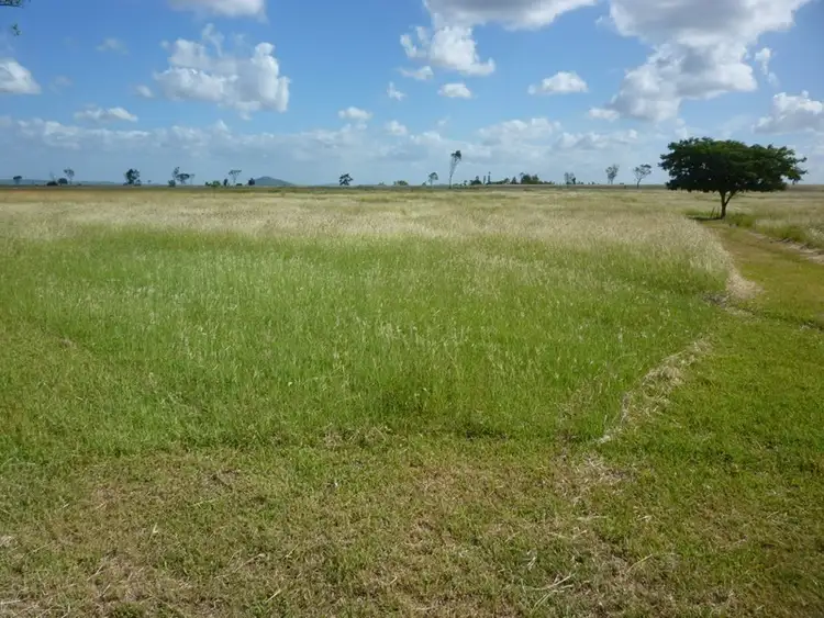 Seventh view of Homely rural property listing, Lot 84 Sheehan Road, Alton Downs QLD 4702