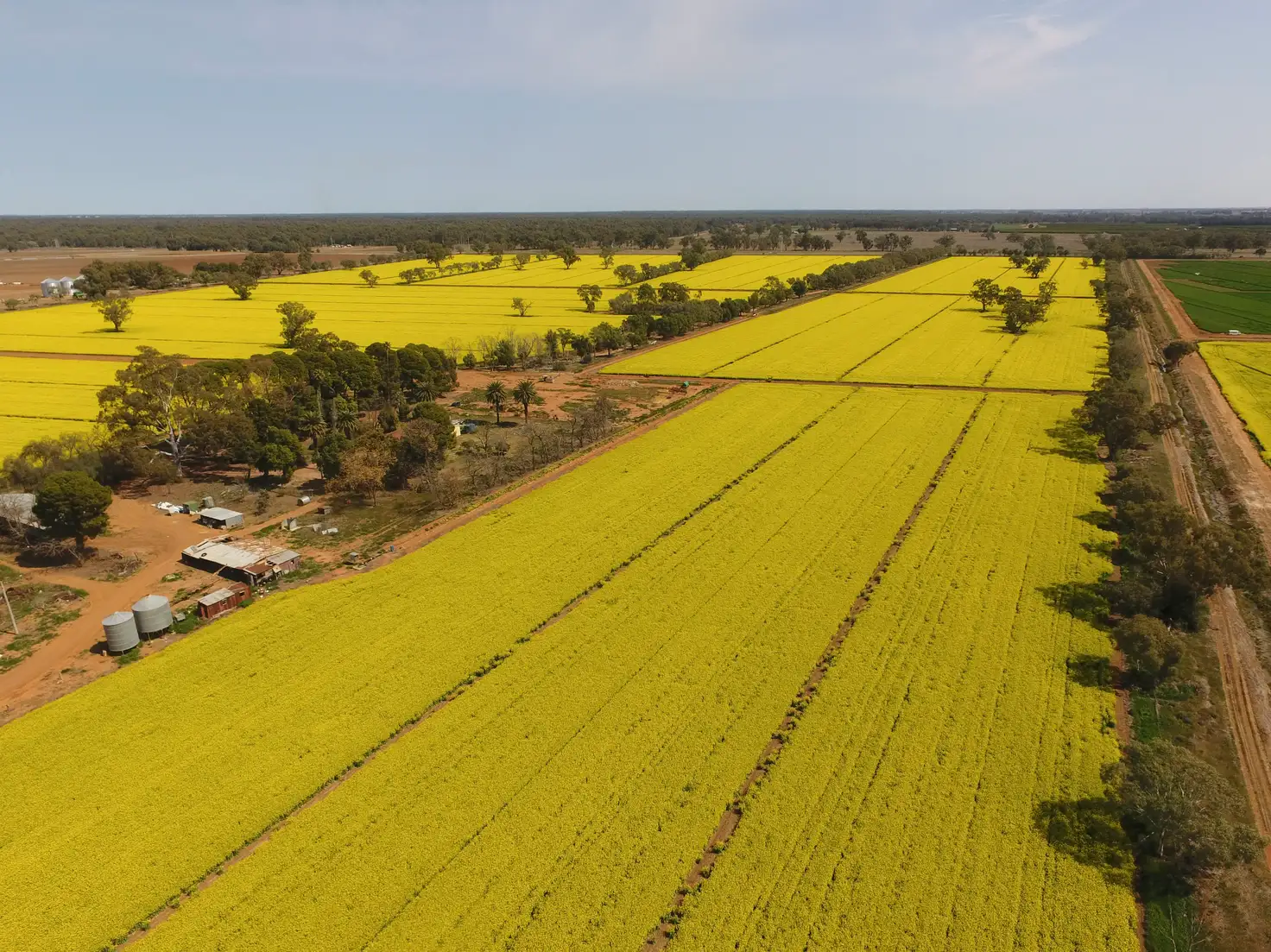 Main view of Homely rural property listing, Address available on request