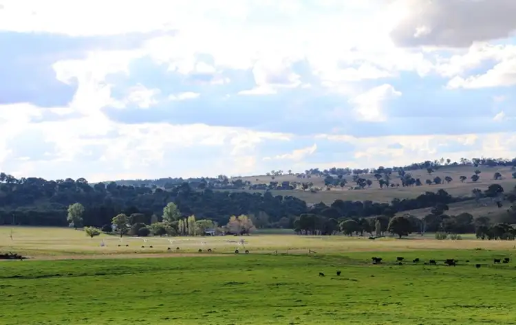 Sixth view of Homely rural property listing, 1735 "Karoola" Old Armidale Road, Guyra NSW 2365