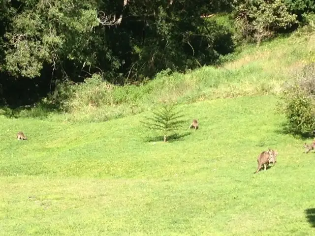Sixth view of Homely land listing, 7 Mango Lane, Currumbin Valley QLD 4223