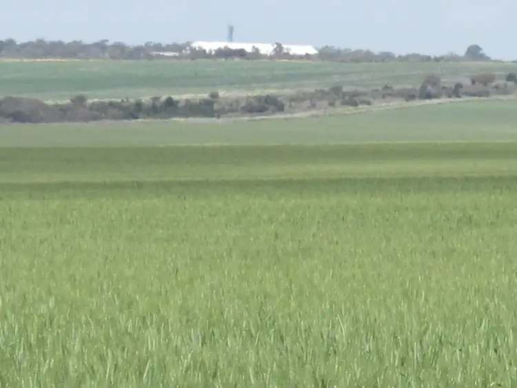 Third view of Homely rural property listing, Balannada Farm Marchagee, Coorow WA 6515