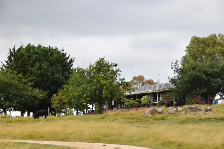 Main view of Homely rural property listing, 1259 Black Swamp Road, Tenterfield NSW 2372