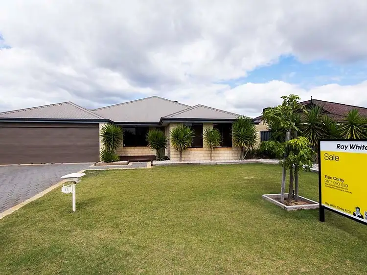 Main view of Homely house listing, 11 Red Tingle Turn, Baldivis WA 6171
