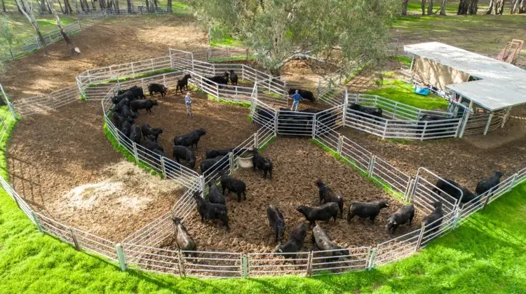 Fourth view of Homely rural property listing, 678 Old Narrandera Road, Narrandera NSW 2700
