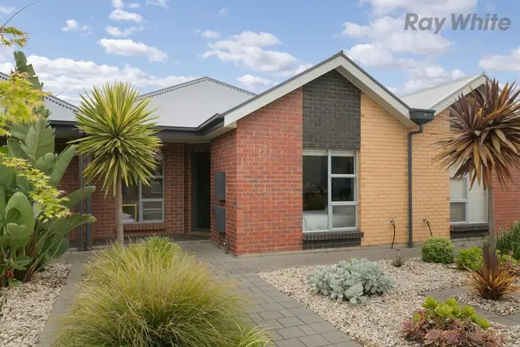 Main view of Homely house listing, 41 Flinders Street, Edwardstown SA 5039