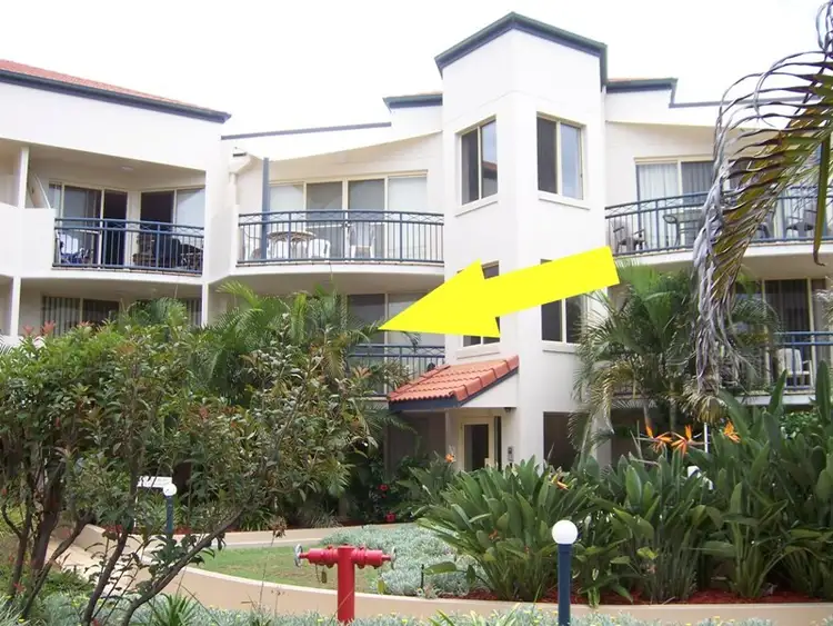 Fourth view of Homely unit listing, 33/437 Golden Four Drive, Tugun QLD 4224