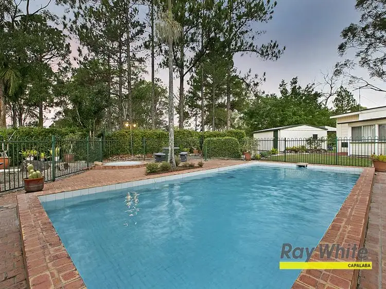 Third view of Homely rural property listing, 1317 Mt Cotton Road, Burbank QLD 4156