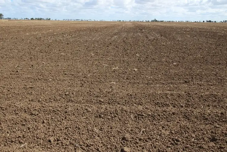 Seventh view of Homely rural property listing, 00 Tates Road, Bowenville QLD 4404