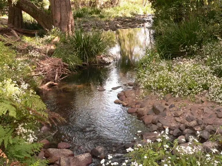 Seventh view of Homely rural property listing, 1312 Chichester Road, Dungog NSW 2420