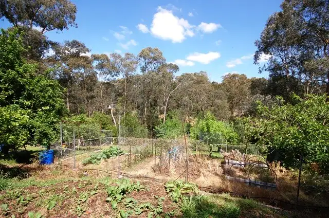 Sixth view of Homely house listing, 35 Kerry Road, Warranwood VIC 3134