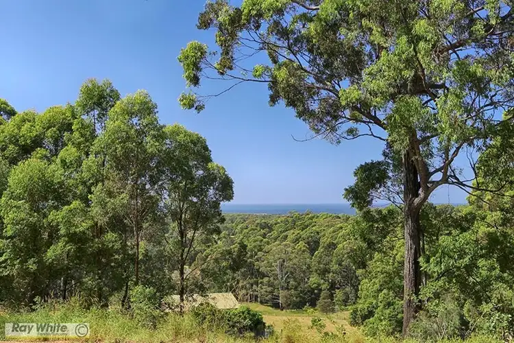 Second view of Homely house listing, 361 Tallwoods Drive, Hallidays Point NSW 2430