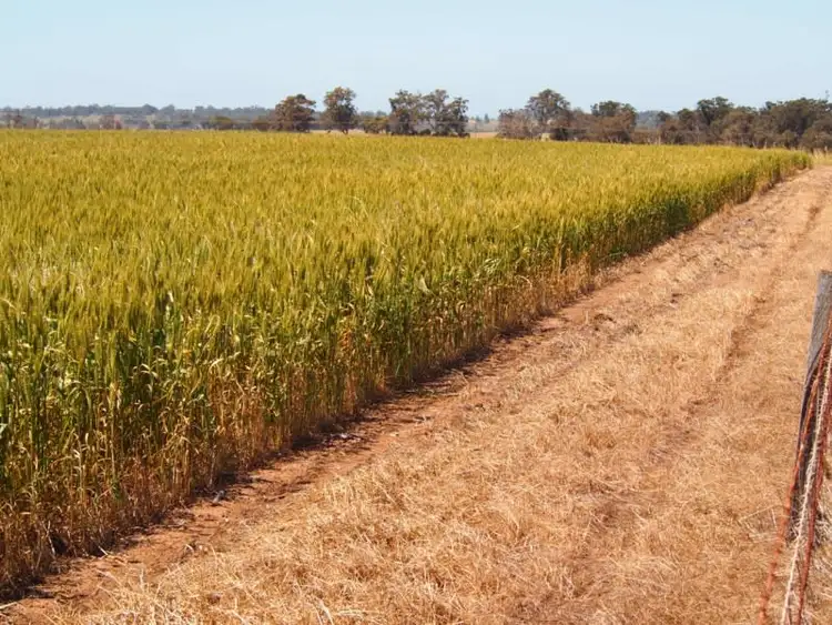 Sixth view of Homely rural property listing, Hyfield, Crossburn, Yaralla, Kojonup WA 6395