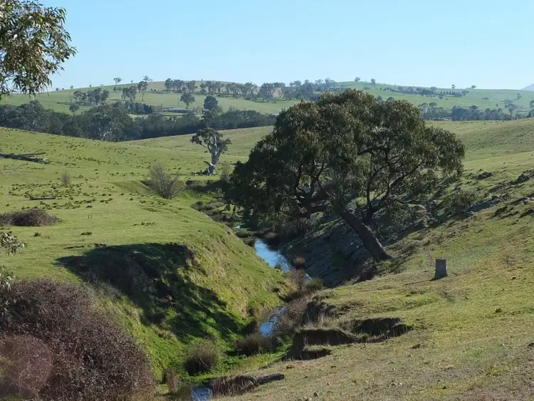 Fourth view of Homely rural property listing, Lot 3 O''Connell Plains Road, O'connell NSW 2795