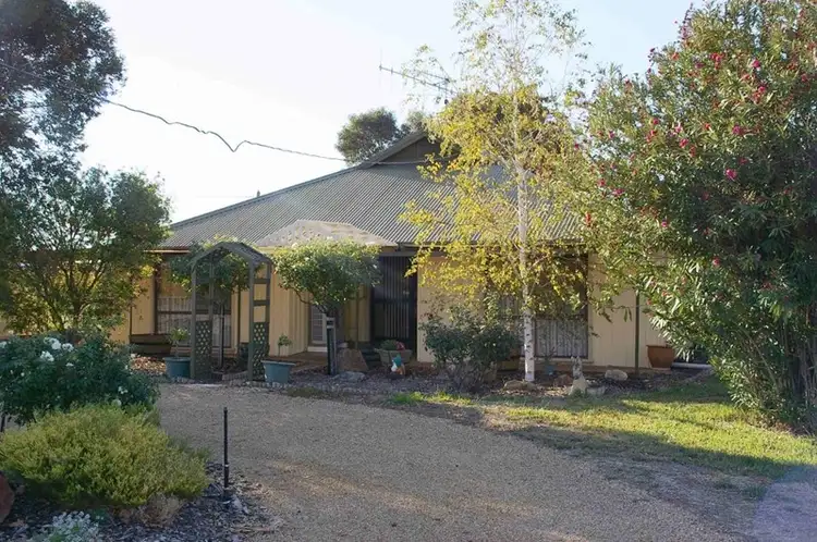31 Wren Street, Renmark SA 5341