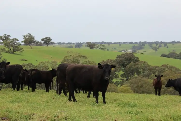 Third view of Homely rural property listing, 1234 Tea Tree Creek Road, Harrow VIC 3317