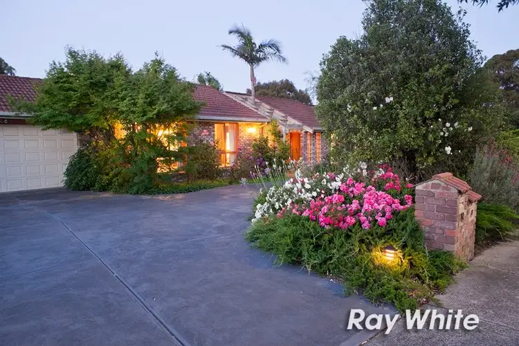 Second view of Homely house listing, 19 Yarralumla Drive, Langwarrin VIC 3910