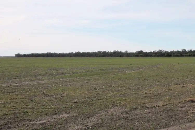 Second view of Homely rural property listing, 17930 JAKELWAR - GOODOOGA, Dirranbandi QLD 4486