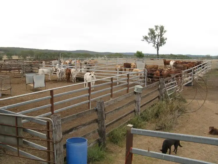 Seventh view of Homely rural property listing, 114 WILSONS Road, Murgon QLD 4605