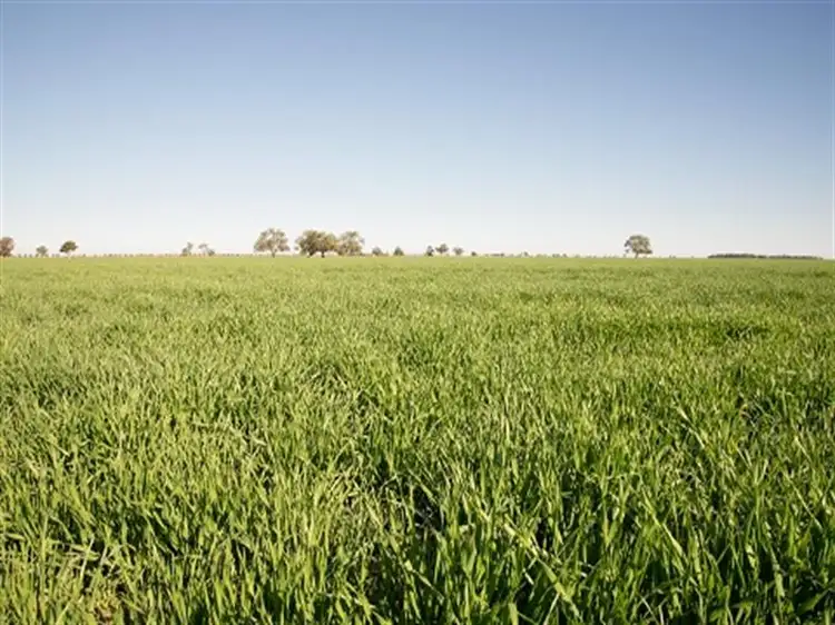 Main view of Homely rural property listing, WOODSIDE Carinda Road, Coonamble NSW 2829