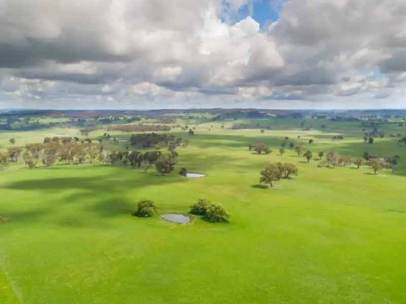 Main view of Homely rural property listing, Earlstoun 126 Earlstoun Road, Guyra NSW 2365