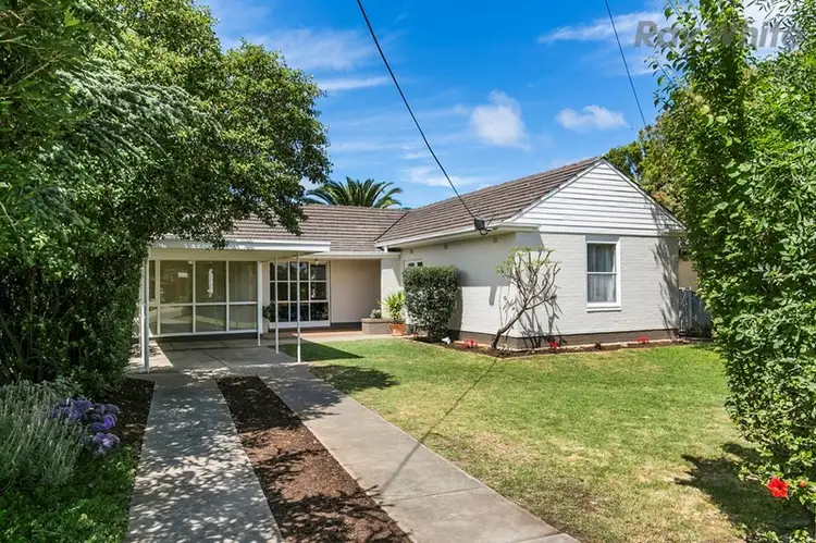 24 Nelson Street, South Plympton SA 5038