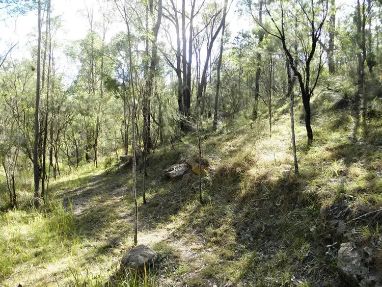 Sixth view of Homely rural property listing, Lot 1024 Yango Creek Road, Laguna NSW 2325