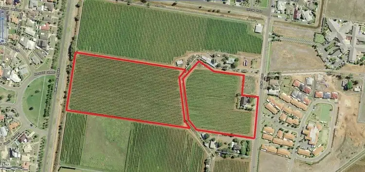 Farm 969 Sidlow Road, Griffith NSW 2680