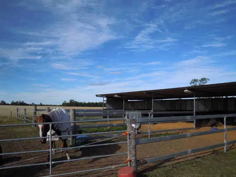 Seventh view of Homely rural property listing, 2290 Bostocks Road, Millmerran QLD 4357