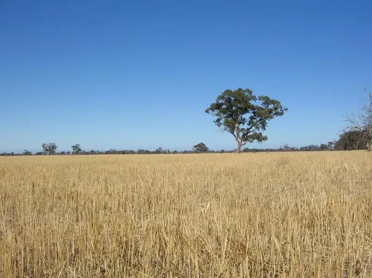 Seventh view of Homely rural property listing, Lot 275 Pitcher Lane, Bordertown SA 5268