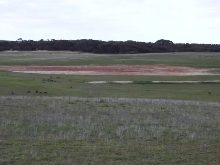 Second view of Homely rural property listing, Sec. 118 Kulkami - Mulpata Road, Lameroo SA 5302