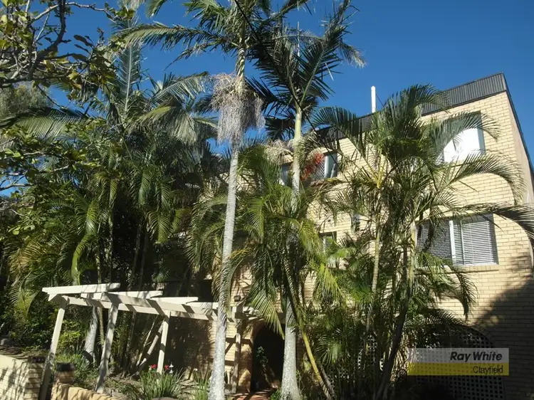 7/191 Allen Street, Hamilton QLD 4007